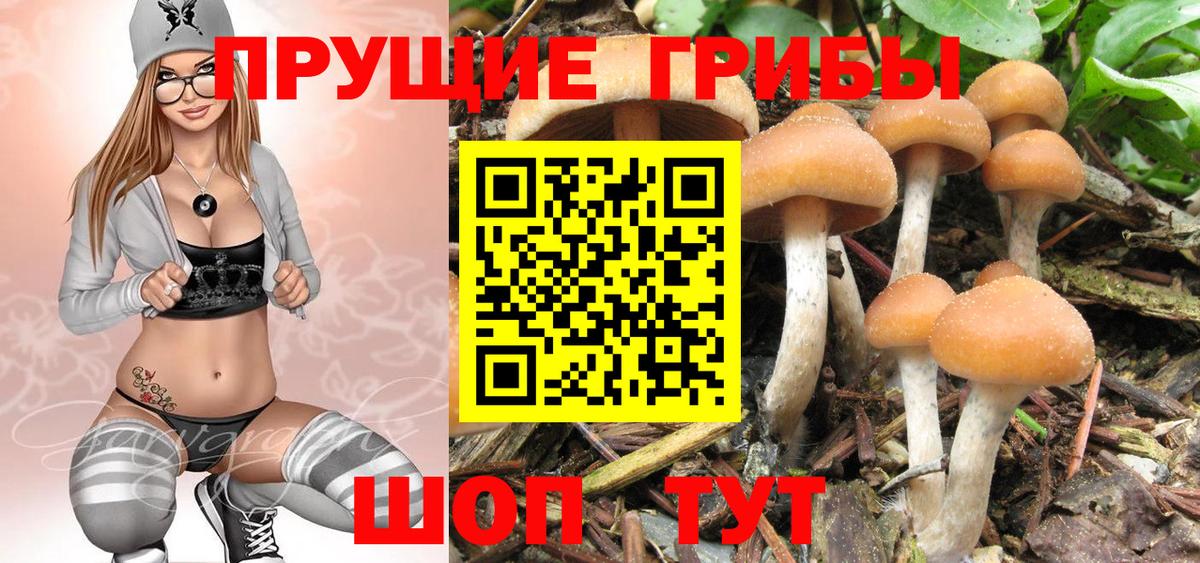 Галлюциногенные грибы ЛСД Апшеронск