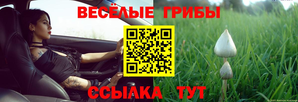 Псилоцибиновые грибы Psilocybe  Вход с VPN  Апшеронск 